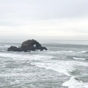 Meet your Posher, Isabella